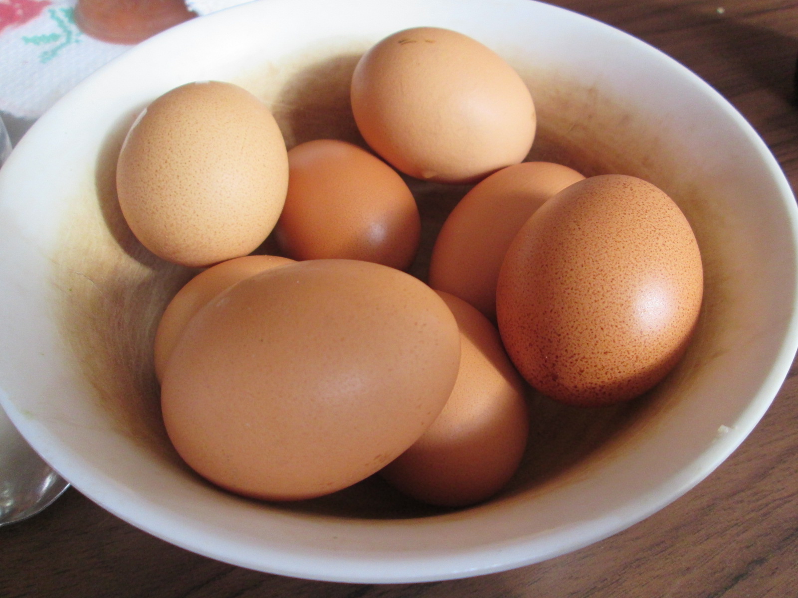 egg - health food